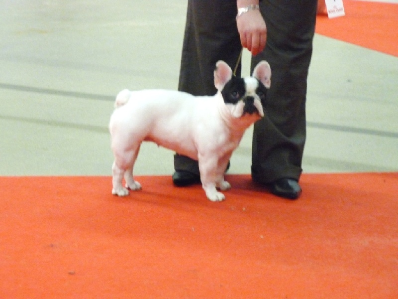 Days of thunder Du domaine de liana - 3éme Excellent