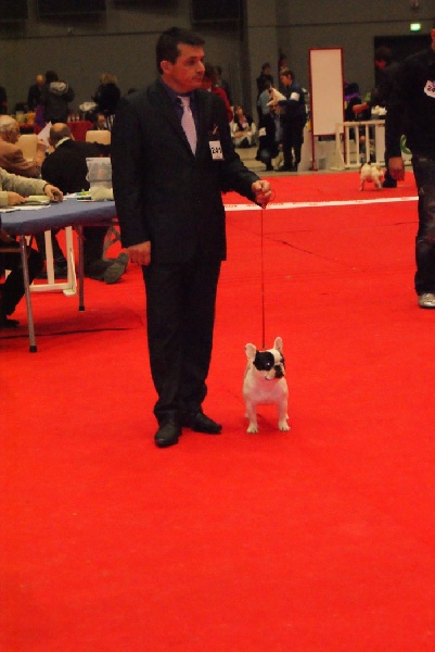 Days of thunder Du domaine de liana - Excellent Classe Intermédiaire