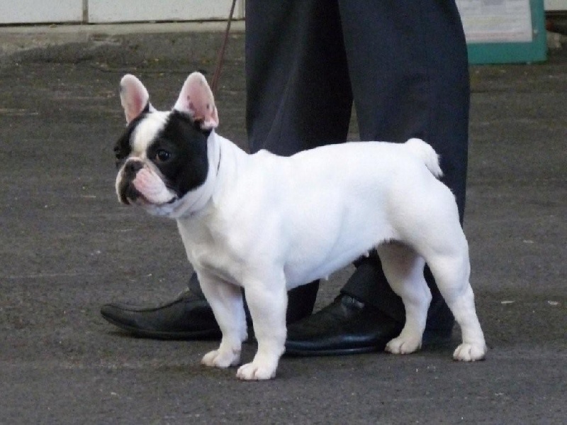 Days of thunder Du domaine de liana - CACS + RCACIB