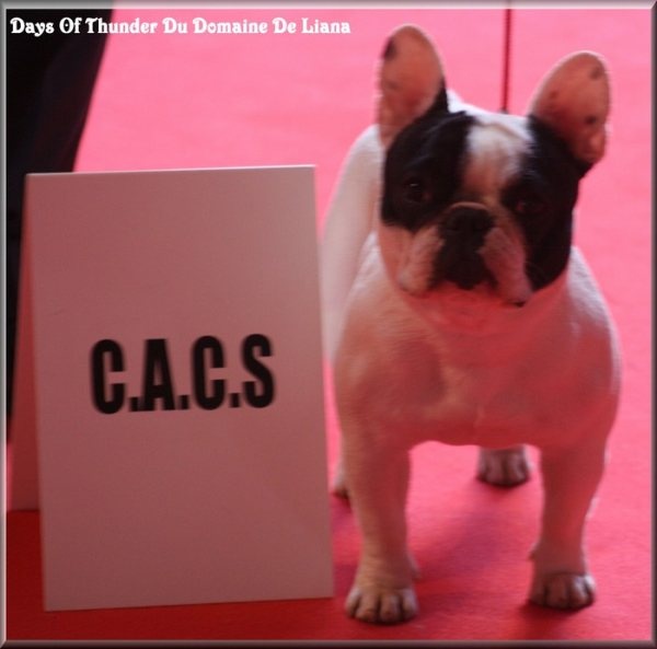 Days of thunder Du domaine de liana - CACS Meilleur de race