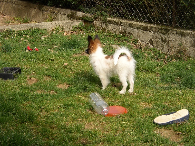 Publication : des Claurés de Karphane