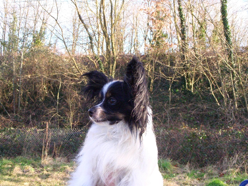 Publication : des Claurés de Karphane