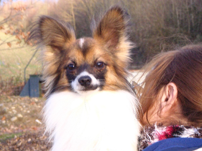 Publication : des Claurés de Karphane