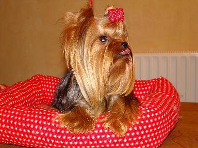 Publication : du domaine de Vellière Auteur : domaine de velliere