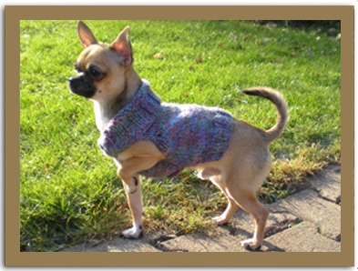 Diabolo du Jardin des Lutins - Très Bon