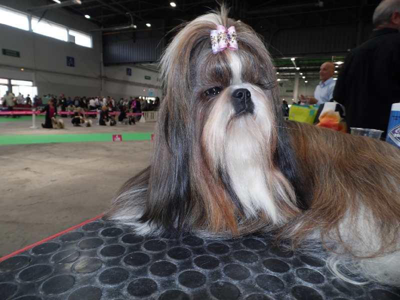 Ermione des loges de karita - très bon