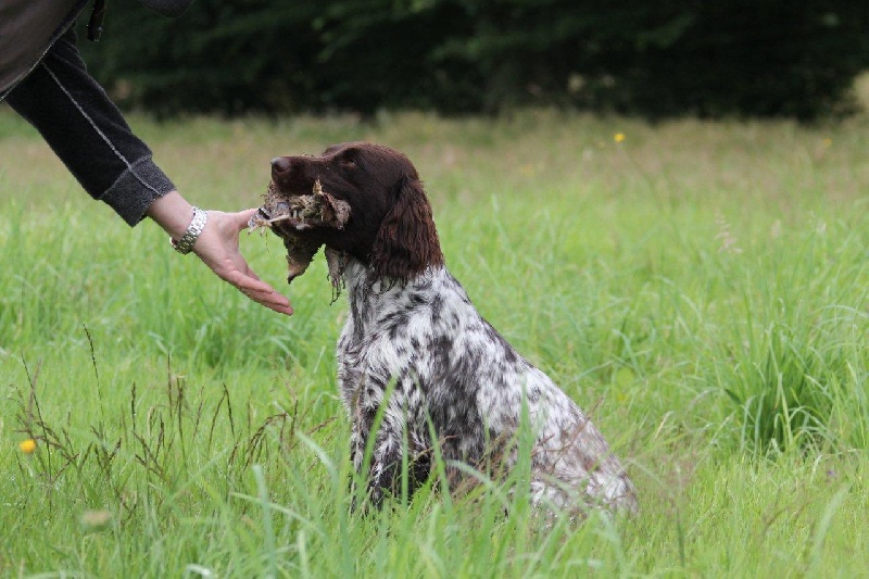 TR. CH. Filty du bois de Berny