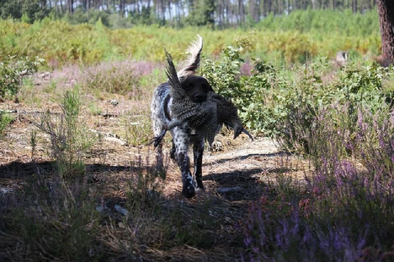 TR. CH. Filty du bois de Berny - 2ème Exc RCACT