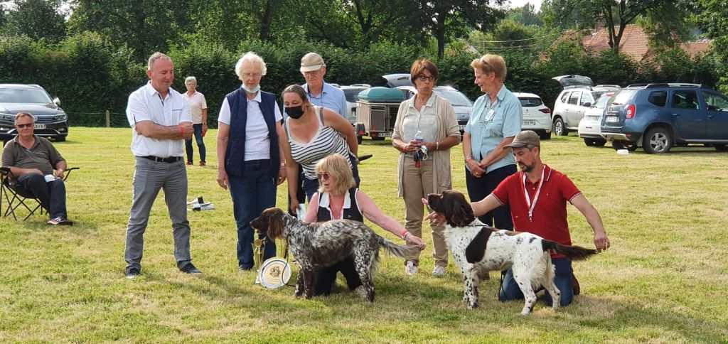 TR. CH. Filty du bois de Berny - 1 er Exc Classe Vétéran