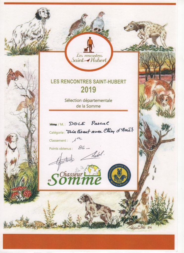 TR. CH. Filty du bois de Berny - 1er