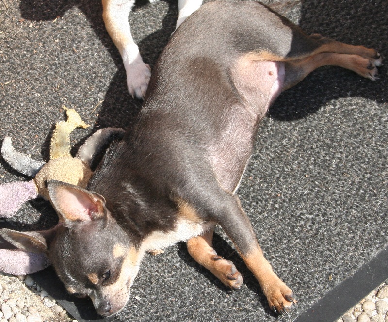 Publication : des Disciples de Yoda