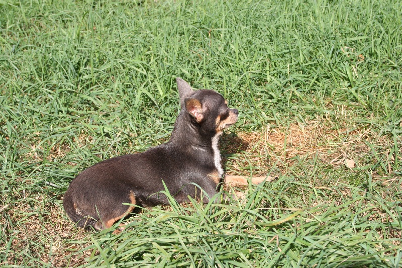 Publication : des Disciples de Yoda