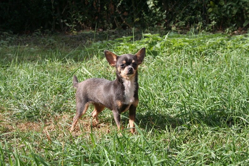 Publication : des Disciples de Yoda