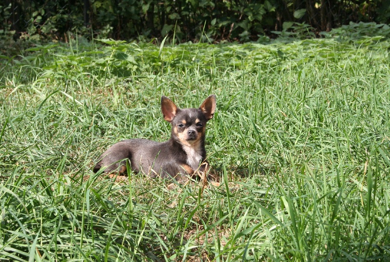 Publication : des Disciples de Yoda