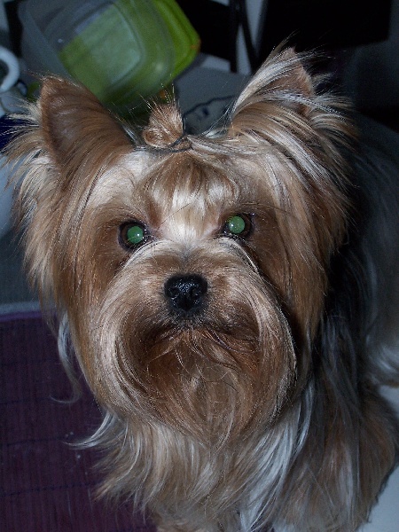 Publication : silk and silver