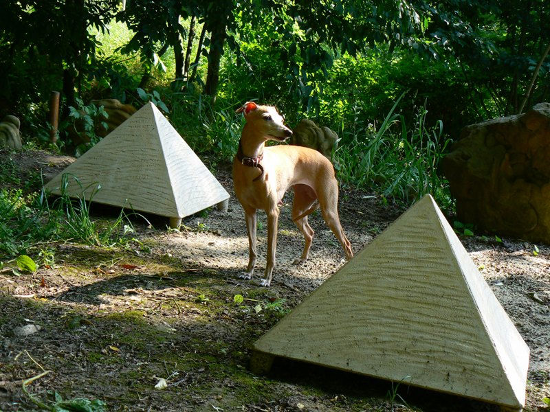 Publication : Altamiruas Auteur : Lidiya A.