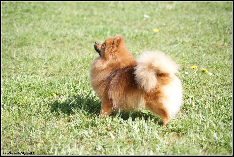 Publication : of Piek'Shawi Auteur : Evayla