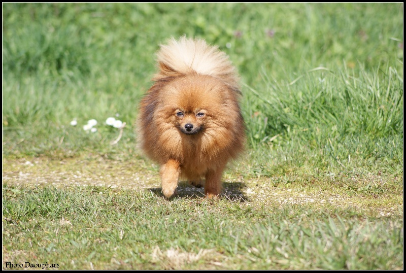 Publication : of Piek'Shawi Auteur : Evayla