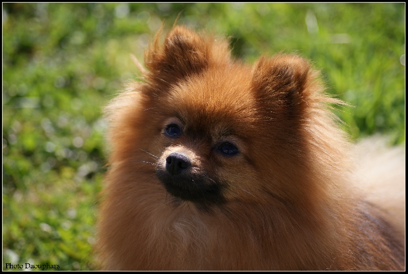 Publication : of Piek'Shawi Auteur : Evayla