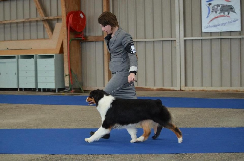 Publication : of Piek'Shawi