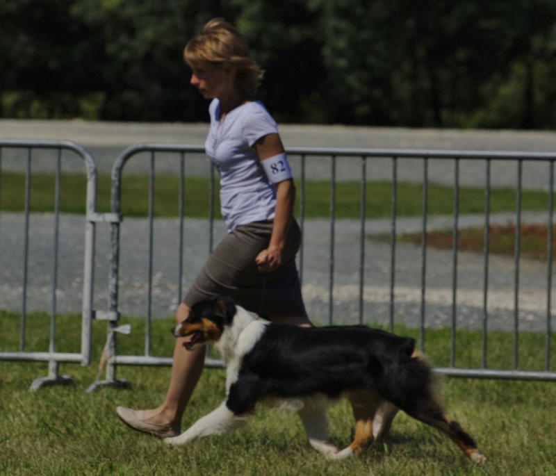 Publication : of Piek'Shawi