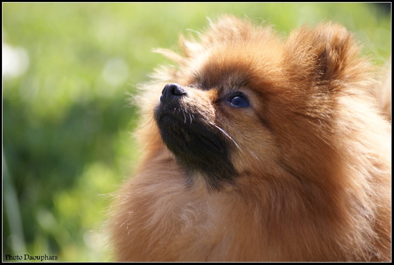 Publication : of Piek'Shawi Auteur : Evayla