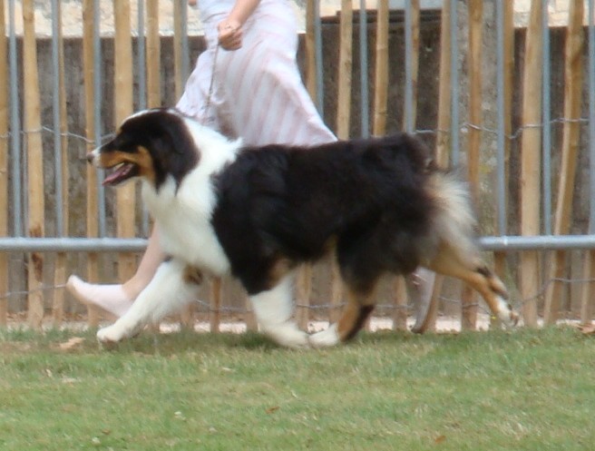 Publication : of Piek'Shawi Auteur : Lo