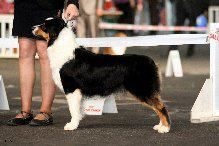 Publication : of Piek'Shawi