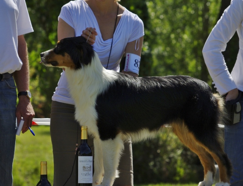 Publication : of Piek'Shawi