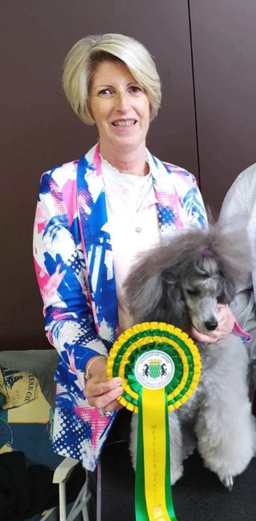 CH. Nuance grise du Calife des Nuits Grises - Classe Champion : 1ère Excellente. CAC. Meilleure de Race