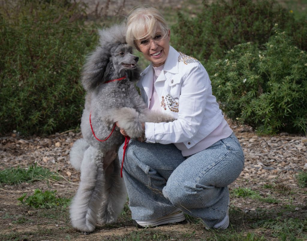 CH. Valérian grey sakkÉ - Classe Ouverte : 1èr Excellent. CACS. MEILLEUR DE SEXE OPPOSÉ