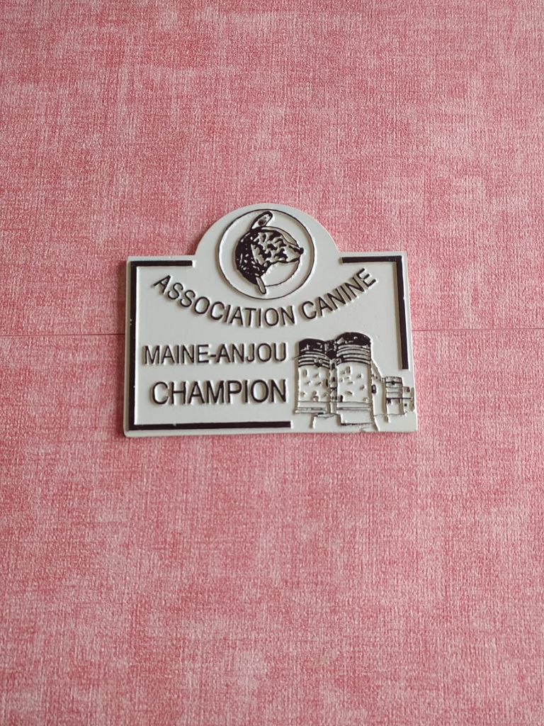 CH. Nuance grise du Calife des Nuits Grises - Classe Champion : 1ère Excellente.