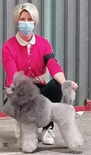 CH. Nuance grise du Calife des Nuits Grises - Classe Ouverte : 1ère Excellent - CACS