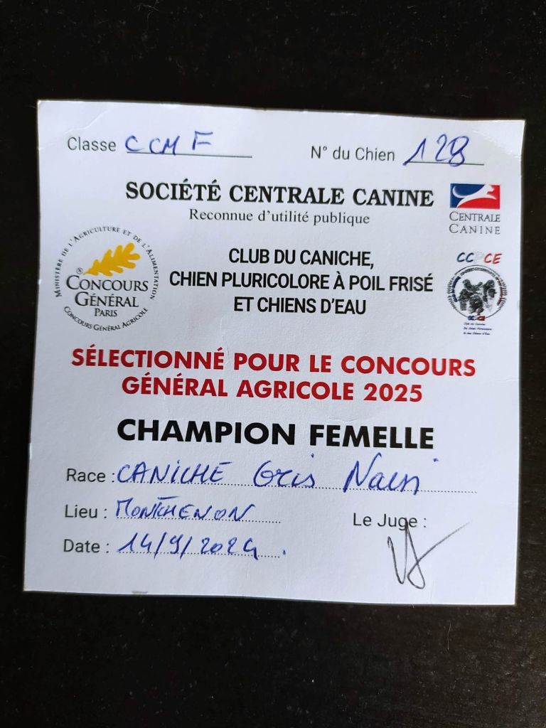CH. Nuance grise du Calife des Nuits Grises - Classe Champion : 1ère Excellente. Sélectionnée pour le Concours Général Agricol