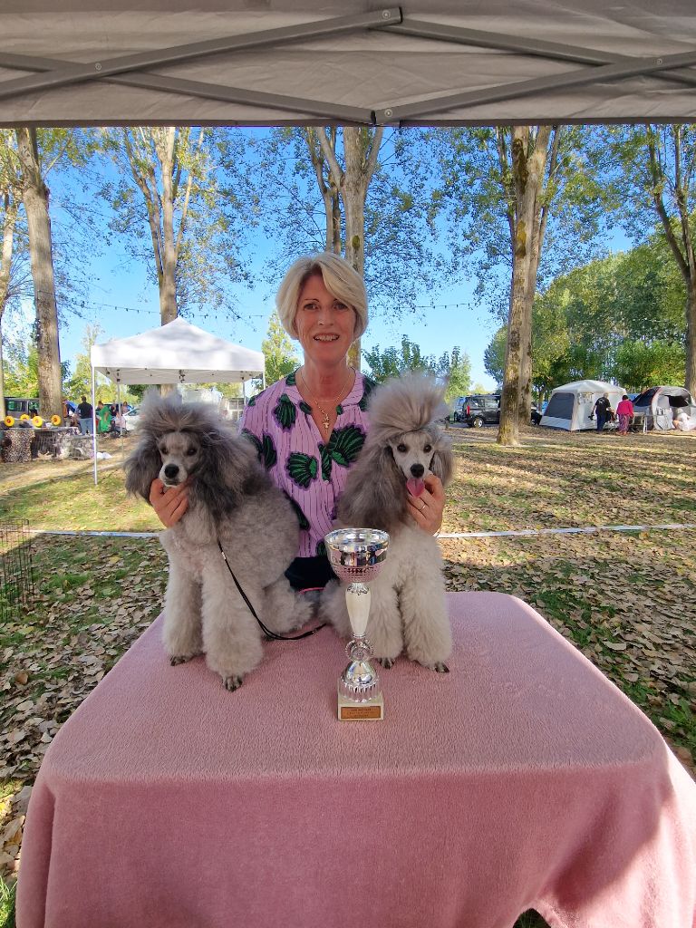 CH. Nuance grise du Calife des Nuits Grises - BEST IN SHOW PAIRE