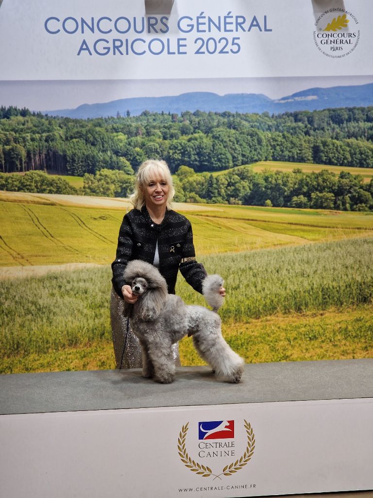 CH. Valérian grey sakkÉ - Sélection au CGA 2025