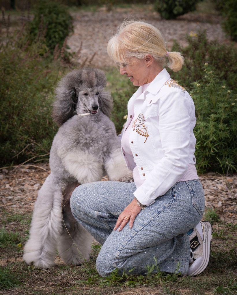 CH. Tarantino le magnifique du Calife des Nuits Grises - Classe Ouverte Moyen : 1er Excellent. CACS