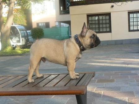 Publication : de Canorama Auteur : canorama