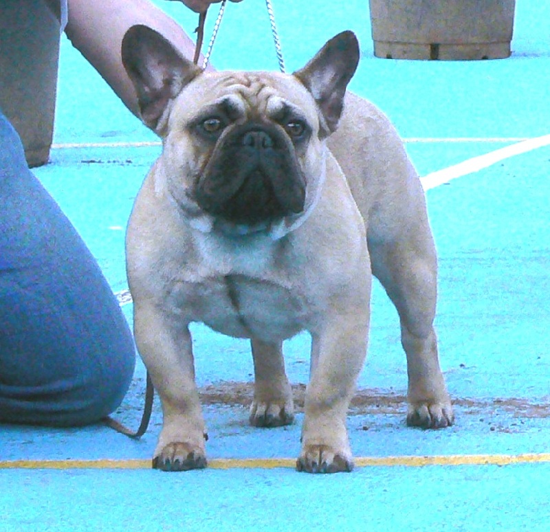 Publication : de Canorama Auteur : canorama