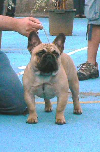 Publication : de Canorama Auteur : canorama