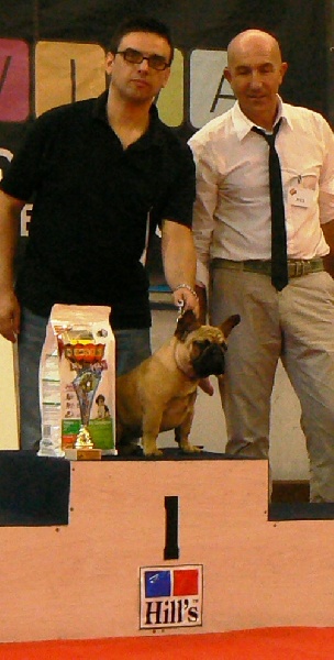 frustyle Dizel for canorama - 1º BEST PUPPY ( best in show ) puppies.