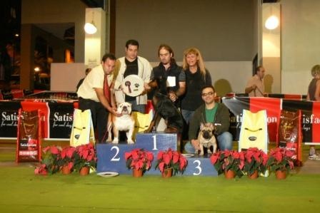 frustyle Dizel for canorama - 3º BEST IN SHOW ( puppies)