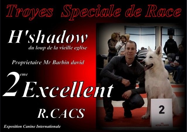 H'shadow du Loup de la Vieille Eglise - 2 eme Excellent R.CACS