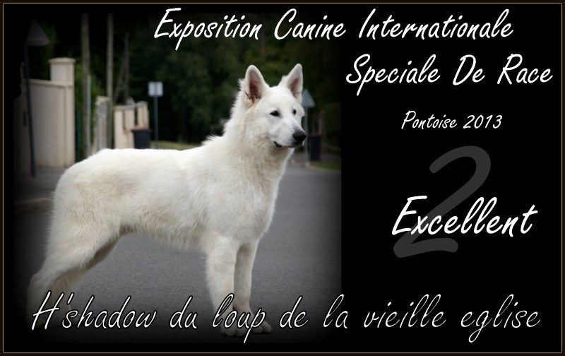 H'shadow du Loup de la Vieille Eglise - 2eme Excellent
