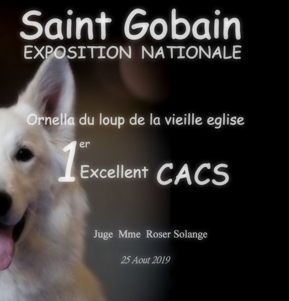 CH. Ornella du Loup de la Vieille Eglise - 1er Exellent CACS