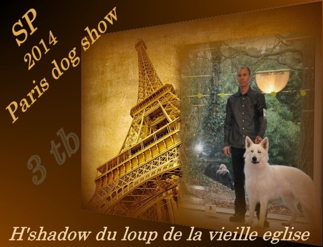 H'shadow du Loup de la Vieille Eglise - 3 TB