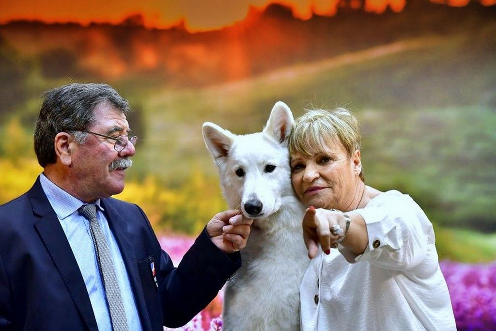 CH. Ornella du Loup de la Vieille Eglise - Salon De L'agriculture 2020