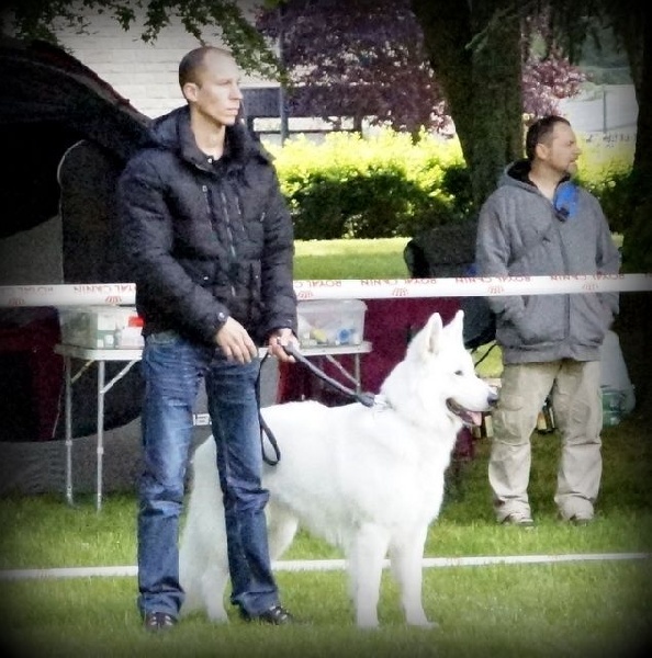 H'shadow du Loup de la Vieille Eglise - TAN-18/20