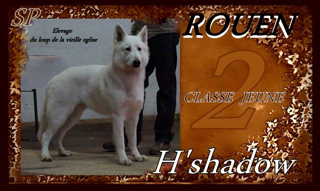 H'shadow du Loup de la Vieille Eglise - 2eme tb