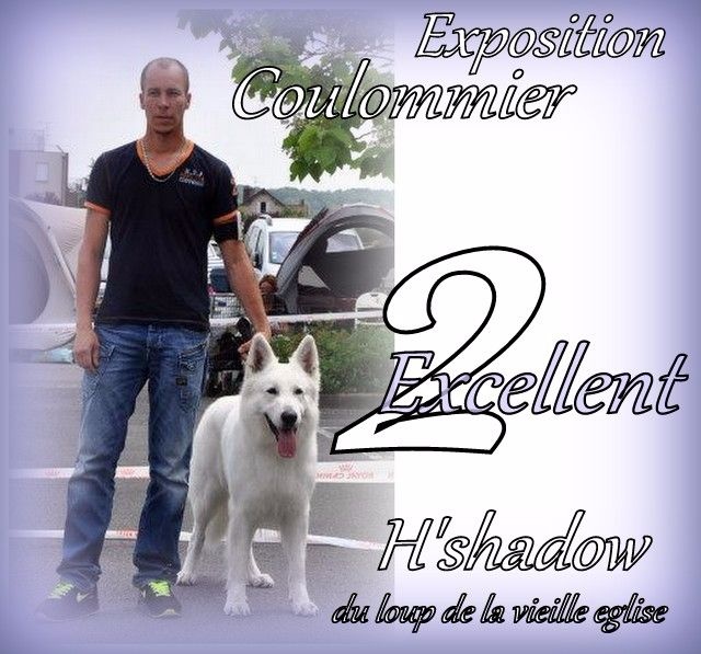 H'shadow du Loup de la Vieille Eglise - 2ieme Excellent